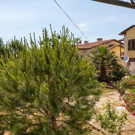 Βίλα Cozy Duplex House Near Beach And Colorful Attractions In Ayvalik *